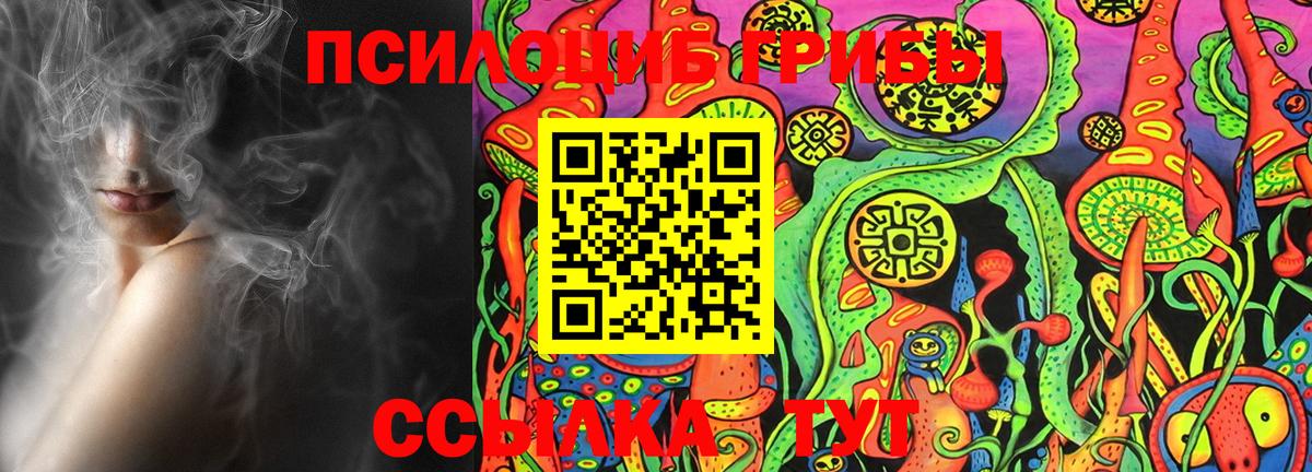 закладка  Вход с VPN  Александров  Псилоцибиновые грибы Cubensis 