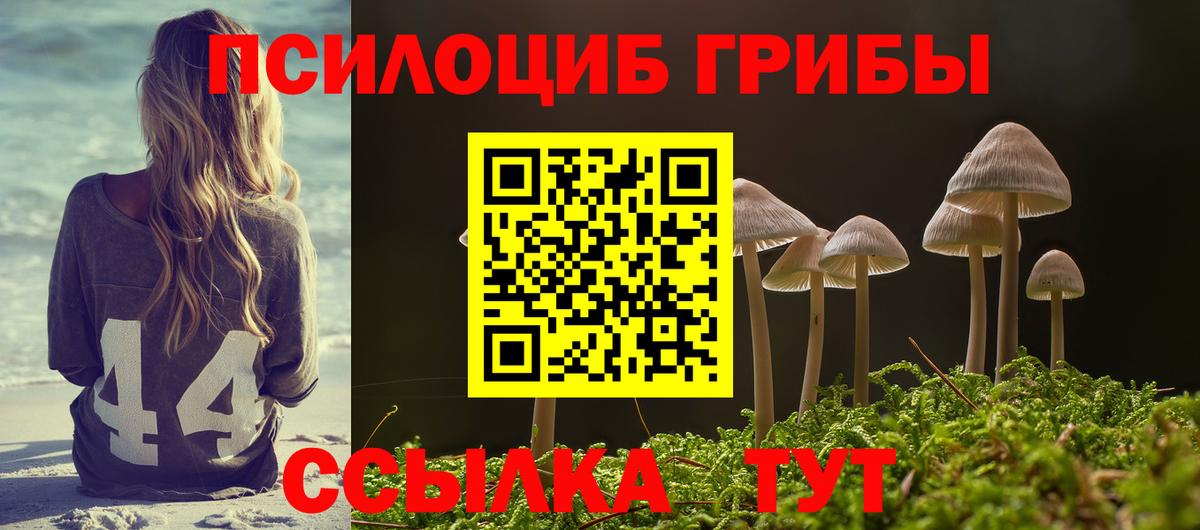 Галлюциногенные грибы GOLDEN TEACHER Александров